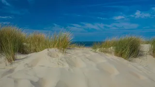 Dune and sea in Zeeland in Holland