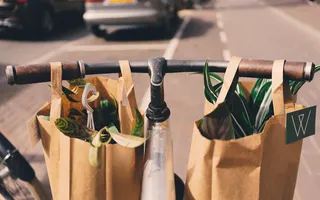 Food in paper bag